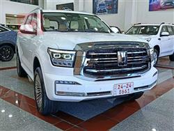 Great Wall 500